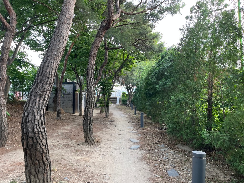 A footpath lined by a hedgerow on one side and trees on the other, with a small building and some steps up ahead.